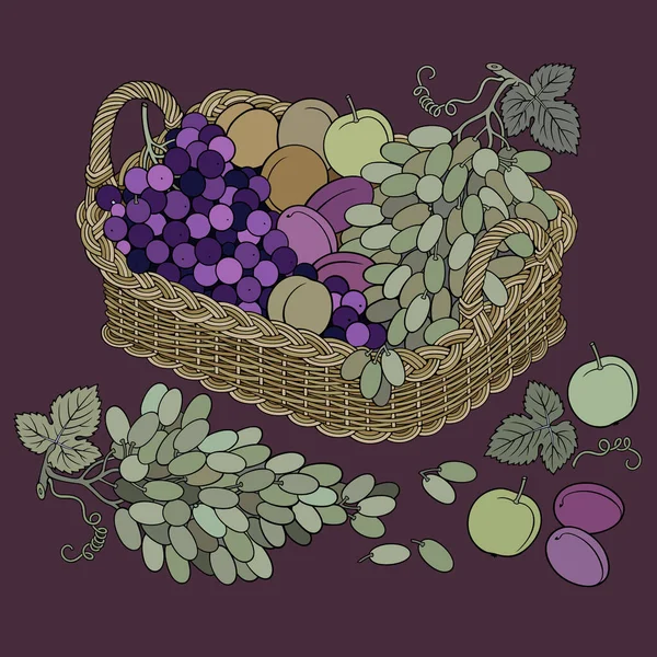 Trauben und Pfirsiche im Korb. Cartoon-Illustration — Stockvektor