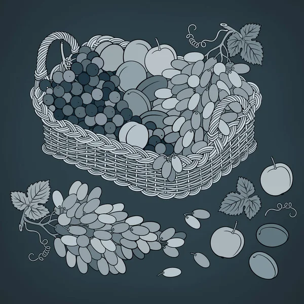 Uvas y melocotones en cesta. Dibujos animados ilustración — Vector de stock