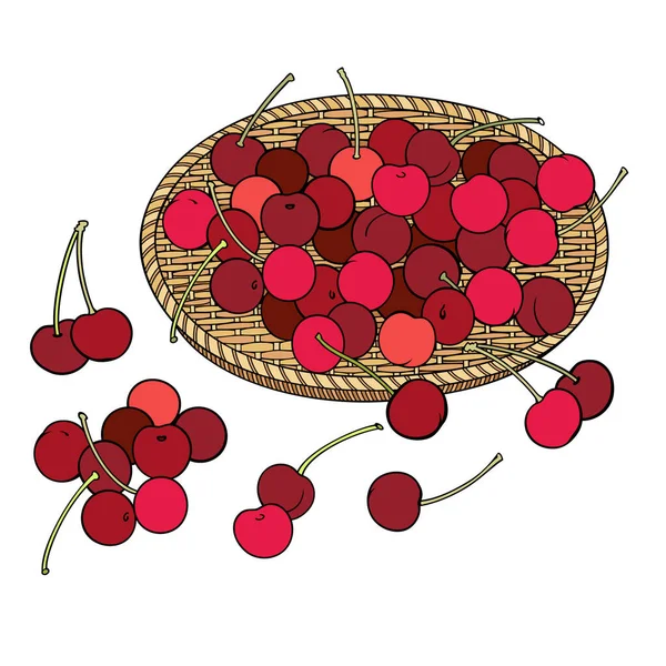 Cereza en canasta. Dibujos animados ilustración dibujada a mano — Archivo Imágenes Vectoriales