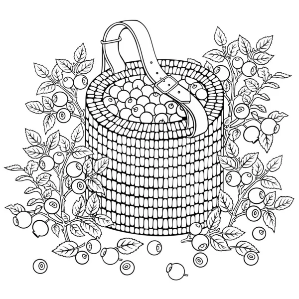 Blueberries in basket. Cartoon vector illustration — Stock Vector