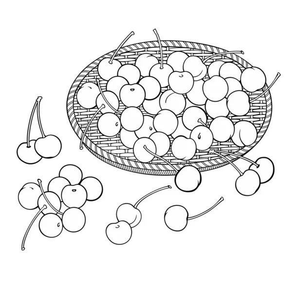 Kirsche im Korb. Zeichentrickvektorillustration — Stockvektor