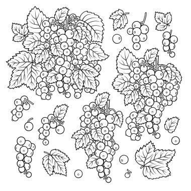 El yapımı kuş üzümü. Nesneler kümesi.