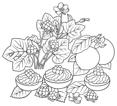 Şekerler, böğürtlenler, meyveler elle çizilmiş resimler