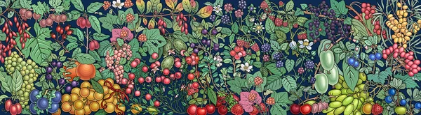 Jagody, owoce ręcznie rysowane wektor doodles banner — Wektor stockowy