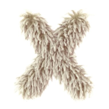 3D vahşi hayvan kürkü harfi X