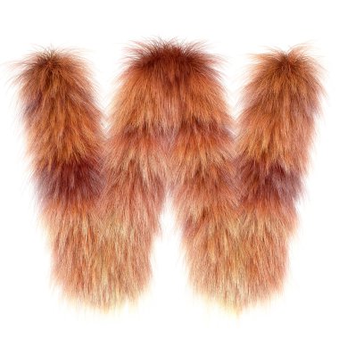 3d Fox çizgi filmi komik yaratıcı kürk harfi W