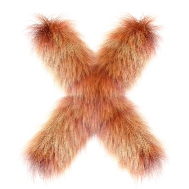 3d Fox çizgi filmi komik yaratıcı kürk harfi X