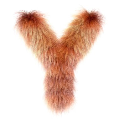 3d Fox çizgi filmi komik yaratıcı kürk harfi Y