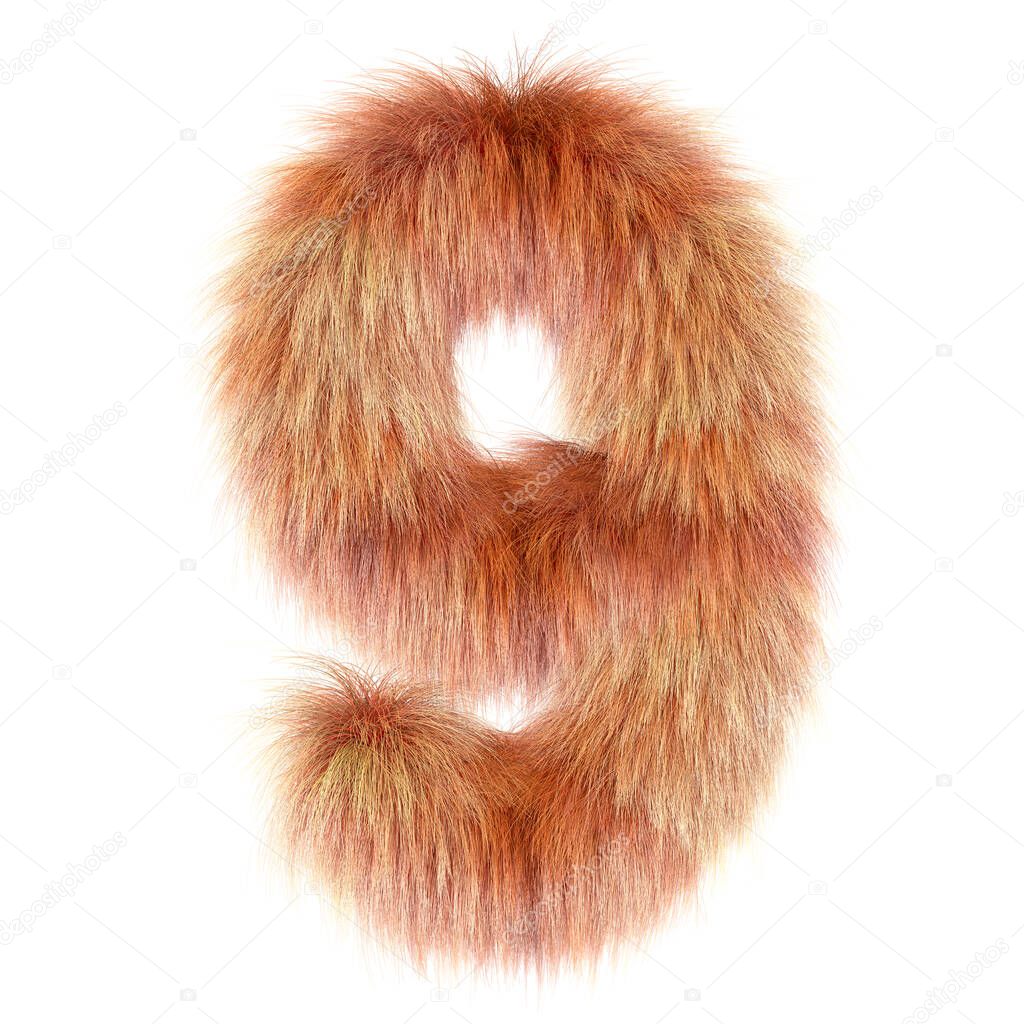 3d Fox creative cartoon funny fur number 9