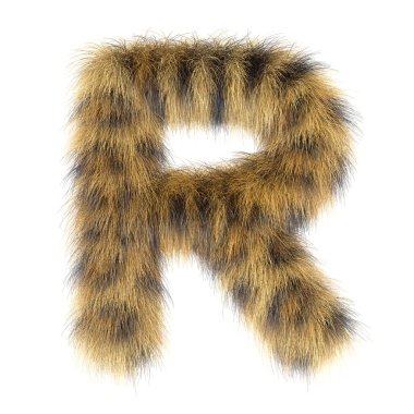 3d Leopar yaratıcı komik kürk harfli R