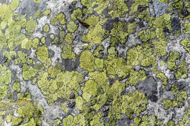 Eski bir taş duvarın parçası, arka plan veya doku için..