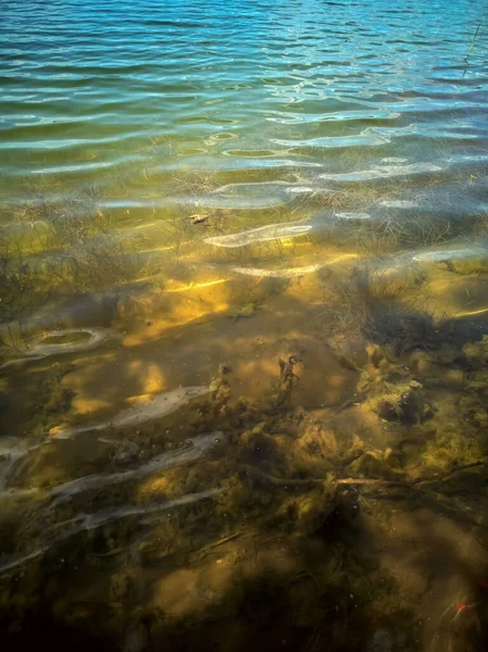 Eau Brillante Colorée Lac Avec Algues Vertes — Photo