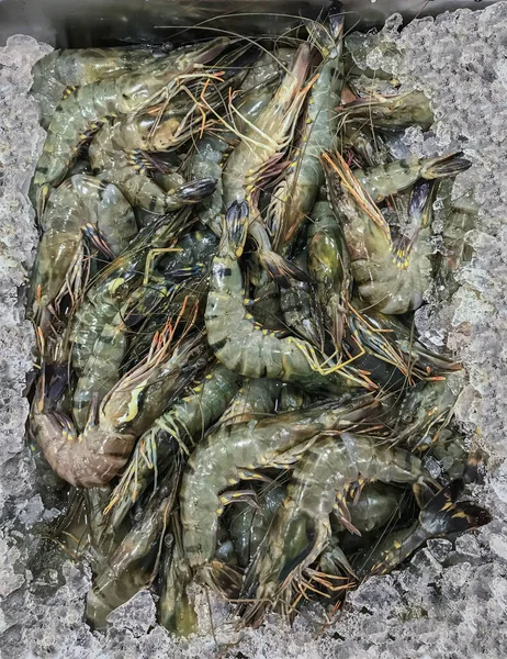 Fresh tiger prawns in a box with ice at fish market from top view