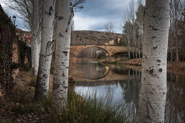 Vyryté Stromy Klidnou Řekou Protékající Pod Mostem Pozadí Zimního Dne — Stock fotografie