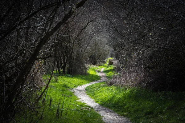 Duraton nehir geçidini geçen yeşil yol, Sepulveda, Segovia, İspanya.