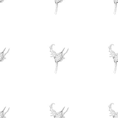 Seamless modeli. Çiçek, dal çiçek mürekkep kroki ile bitki. Şablon için bir kartvizit, afiş, poster, defter, davet, renkli kitap