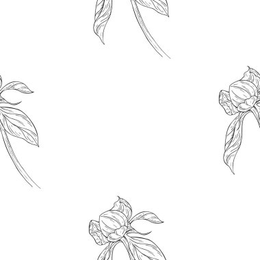 Seamless modeli. Çiçek, dal çiçek mürekkep kroki ile bitki. Şablon için bir kartvizit, afiş, poster, defter, davet, renkli kitap