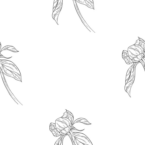 Varrat nélküli mintát. Növény-virág, virág szabadkézi rajz ág. Egy névjegykártya, banner, plakát, notebook, meghívó, színes könyv-sablon — Stock Vector