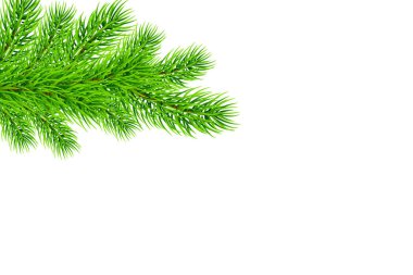 Köknar ağacı dalları ile tatil Noel çerçeve. Bir afiş, poster, davet için şablon