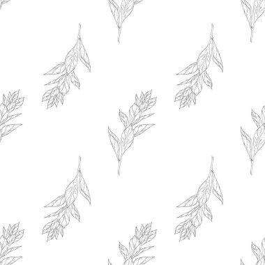 Seamless modeli. Çiçek, dal çiçek mürekkep kroki ile bitki. Şablon için bir kartvizit, afiş, poster, defter, davet, renkli kitap