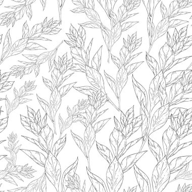 Seamless modeli. Çiçek, dal çiçek mürekkep kroki ile bitki. Şablon için bir kartvizit, afiş, poster, defter, davet, renkli kitap