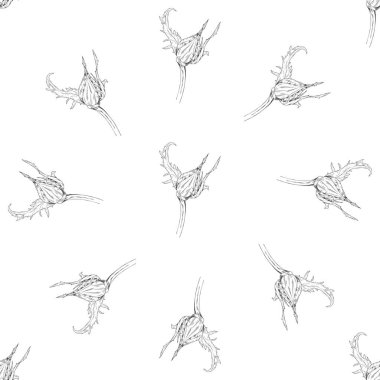 Seamless modeli. Çiçek, dal çiçek mürekkep kroki ile bitki. Şablon için bir kartvizit, afiş, poster, defter, davet, renkli kitap