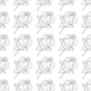 Seamless modeli. Çiçek, dal çiçek mürekkep kroki ile bitki. Şablon için bir kartvizit, afiş, poster, defter, davet, renkli kitap