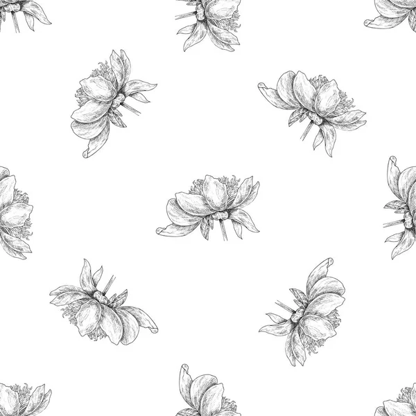 Seamless pattern. Plant in blossom, branch with flower ink sketch. Template for a business card, banner, poster, notebook, invitation, color book — Stock Vector