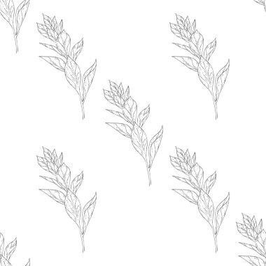 Seamless modeli. Çiçek, dal çiçek mürekkep kroki ile bitki. Şablon için bir kartvizit, afiş, poster, defter, davet, renkli kitap