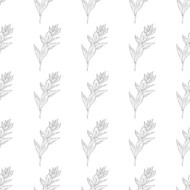 Seamless modeli. Çiçek, dal çiçek mürekkep kroki ile bitki. Şablon için bir kartvizit, afiş, poster, defter, davet, renkli kitap