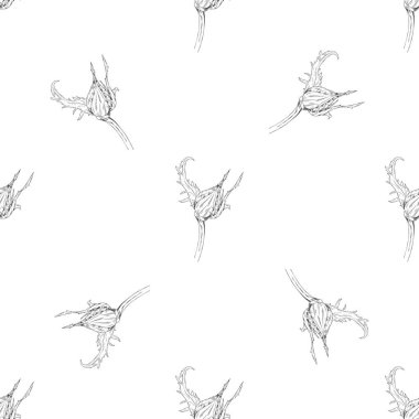 Seamless modeli. Çiçek, dal çiçek mürekkep kroki ile bitki. Şablon için bir kartvizit, afiş, poster, defter, davet, renkli kitap