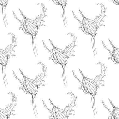 Seamless modeli. Çiçek, dal çiçek mürekkep kroki ile bitki. Şablon için bir kartvizit, afiş, poster, defter, davet, renkli kitap