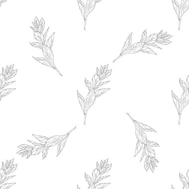 Seamless modeli. Çiçek, dal çiçek mürekkep kroki ile bitki. Şablon için bir kartvizit, afiş, poster, defter, davet, renkli kitap