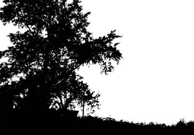 Siyah ağaç silueti. Kopya alanı olan kart. Beyaz arka planda izole edilmiş. Vektör doğa illüstrasyon
