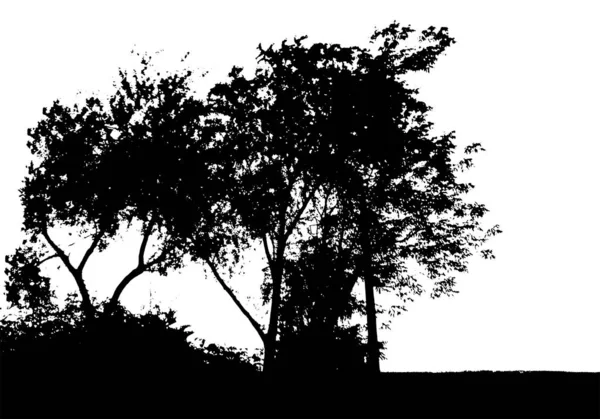 Silueta de árbol negro. Tarjeta con espacio de copia. Aislado sobre fondo blanco. Ilustración de naturaleza vectorial — Vector de stock