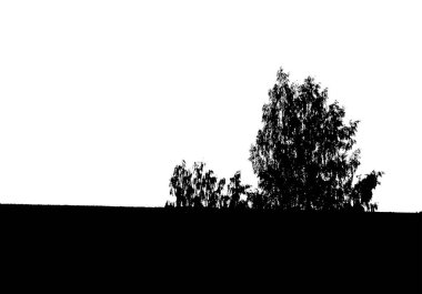 Kara ağaç ormanı silueti. Kopya alanı olan kart. Beyaz arka planda izole edilmiş. Vektör doğa illüstrasyon