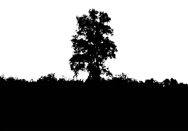 Fekete fa erdő sziluettje. Kártyát a másolási tér. Elszigetelt fehér alapon. Vektorjellegű illusztráció — Stock Vector