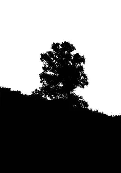 Μαύρη σιλουέτα δέντρου. Κάρτα με χώρο αντιγραφής. Απομονωμένος σε λευκό φόντο. Απεικόνιση διανυσματικής φύσης — Διανυσματικό Αρχείο