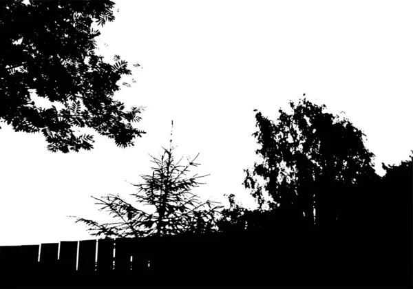 Sylwetka czarnego drzewa. Karta z przestrzenią kopiowania. Izolowane na białym tle. Wektor natura ilustracja — Wektor stockowy