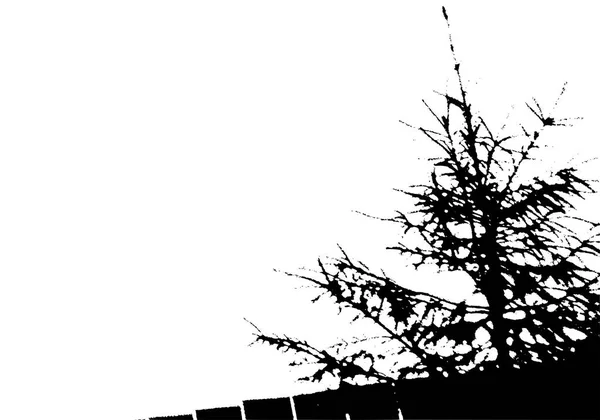 黑杉树和栅栏剪影。带复制空间的卡片 — 图库矢量图片