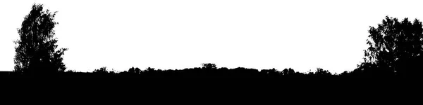 Siyah ağaç orman panorama siluet. Kopyalama alanı olan kart — Stok Vektör