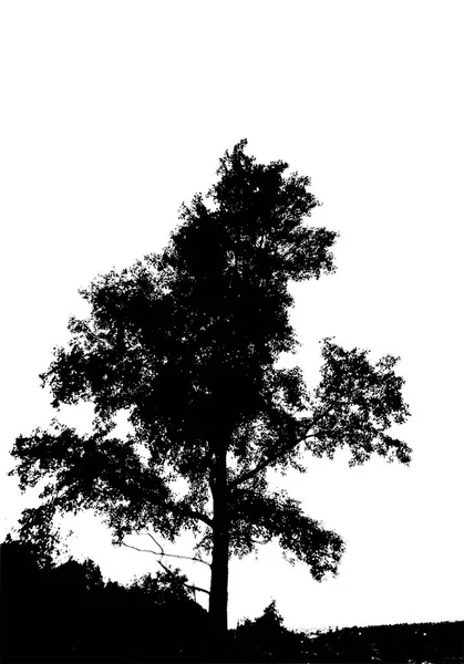 Μαύρο δέντρο σιλουέτα. Κάρτα με χώρο αντιγραφής. Απομονωμένος σε λευκό — Διανυσματικό Αρχείο