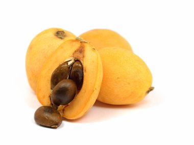 Japon lokuatı, Eriobotrya japonica, beyaz arka plana karşı