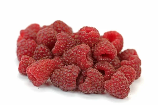 Himbeeren Vor Weißem Hintergrund — Stockfoto