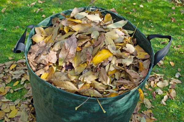 垃圾袋里的落叶 — 图库照片