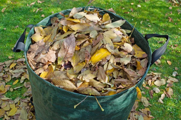 Feuilles Automne Dans Sac Poubelle — Photo