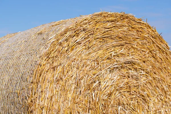 Straw Bale Close — Stock Photo, Image