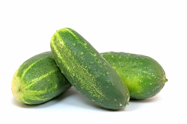 Groene Komkommers Voor Augurk — Stockfoto