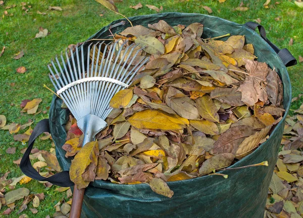 Leaf rakes and autumn leaves on the meadow