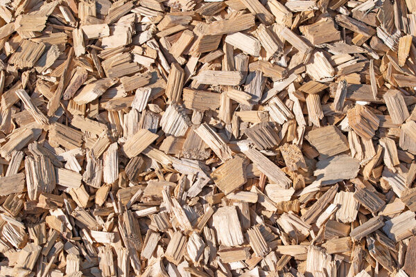 Wood chips in a close-up